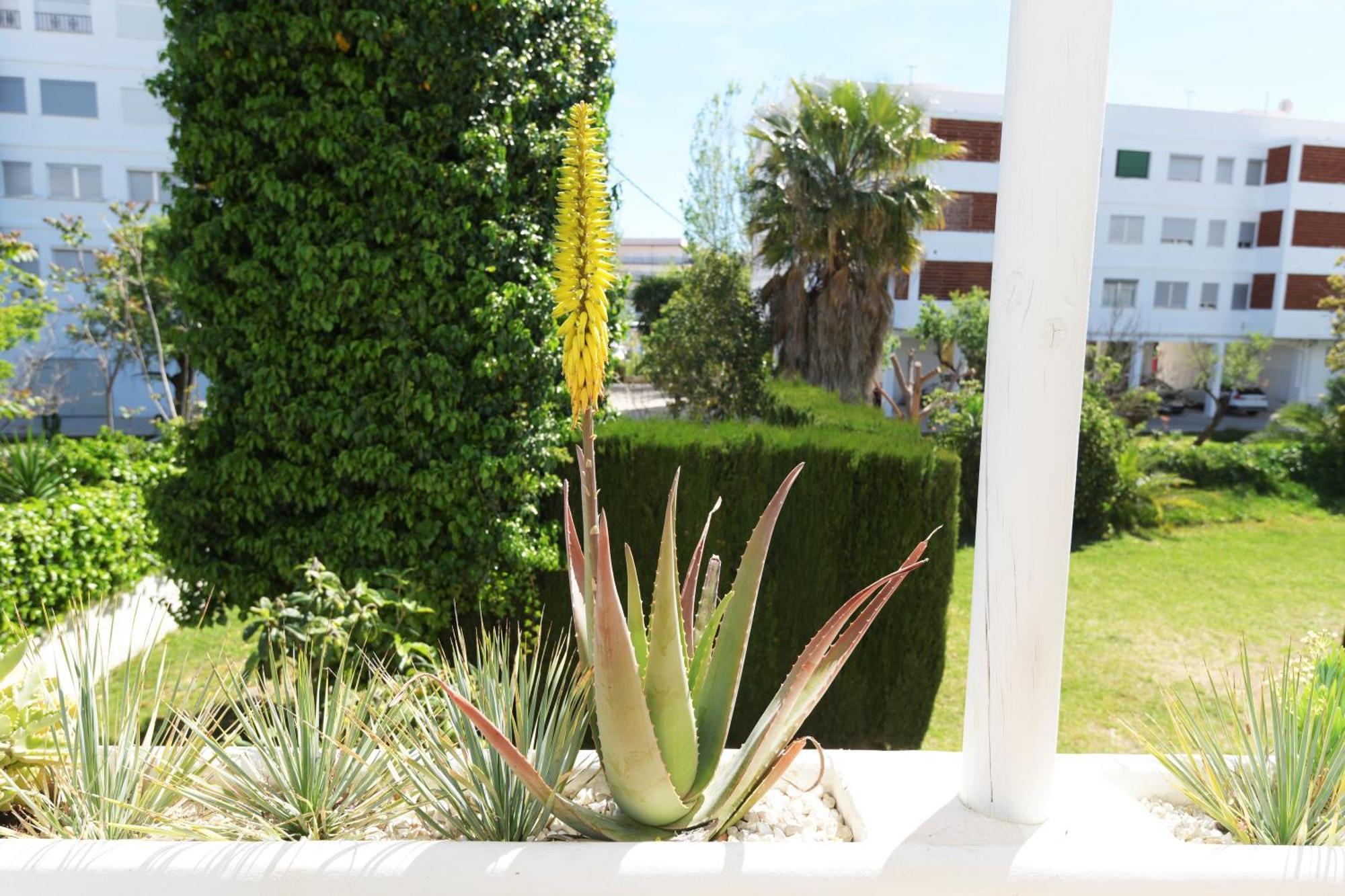 Stories Javea - Cosy Boho Apartment El Arenal - Toplocation - 250M From The Beach! Exterior foto
